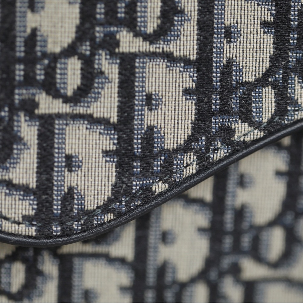 Dior Saddle Pouch - image 6